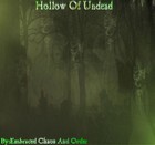 Picture for song 'Hollow Of Undead' by artist 'embraced chaos and order'