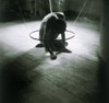 Picture for song 'Night of solitude' by artist 'Endless Autumn'