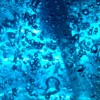 Picture for song '1.6.95' by artist 'enzo rossi'