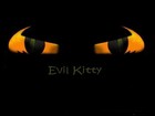 Picture for song 'The Battle Rages On' by artist 'Evil Kitty'