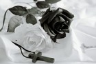 Picture for song 'Nona | Inspiring | Free' by artist 'FAETBEATS'