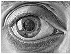 Picture for song 'Watch You' by artist 'Ferrari Rivera Levis (FRL)'