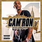 Picture for song 'Cam'ron Style' by artist 'First Letter'
