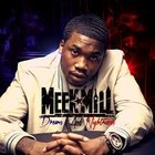 Picture for song 'FLASHYBEATS | PUT IN WORK' by artist 'Flashy Beats'