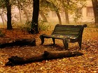 Picture for song 'Waitin' For You' by artist 'gabe stenziano'