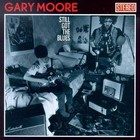 Picture for song 'Still Got the blues' by artist 'GARY MOORE TRIBUTE'