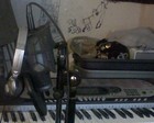 Picture for song 'Anything - Garzia Vega' by artist 'Garzia Vega'