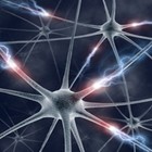 Picture for song 'Brain confusion (Live improvisation)' by artist 'Genetic Dysfunction'