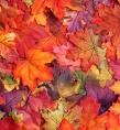 Picture for song 'Autumn Leaves' by artist 'George Fry'