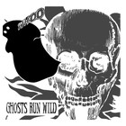 Picture for song 'Here You Will Remain' by artist 'Ghosts Run Wild'
