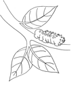 Picture for song 'Teeny Tiny Caterpillar-Lullaby' by artist 'Giddy Girl Music Productions'