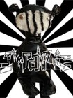 Song picture
