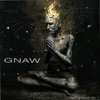 Picture for song 'Cradle to Grave' by artist 'GNAW (USA)'