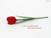 Picture for song 'First LOVE - VAYU' by artist 'god of guitar85'