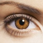 Picture for song 'Look at Me Now (w/ Hook)' by artist 'G Productions'