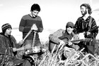 Picture for song 'birds' by artist 'GRASSROOT DEVIATION'