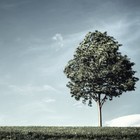 Picture for song '*NEW* | I Used To (w/ SAMPLE)' by artist 'GregoryOnTheBeat'