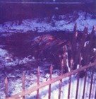 Picture for song 'serenade outside your window( live)' by artist 'happy content'