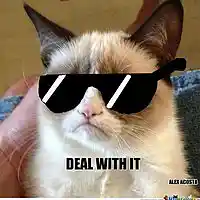 Picture for song 'Deal With It ' by artist 'Hardheaded'