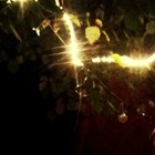 Picture for song 'schoeneweide-84bpm' by artist 'Harrison Fjord'