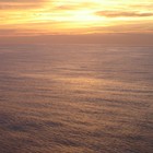 Picture for song 'Big Liquid' by artist 'Harry Scorzo'