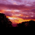 Picture for song 'sunrise' by artist 'harutake'