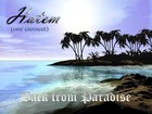 Picture for song 'Back From Paradise -2007-' by artist 'Hatem'