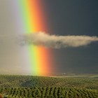 Picture for song 'A CANCAO DO AMOR' by artist 'HELDER VIEGAS'