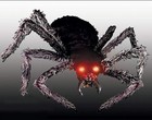 Picture for song 'Dr. D's House of Spiders' by artist 'HooDooMan21'