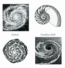 Picture for song 'How you gon ripp it?' by artist 'iLLUtiON iNC'