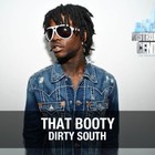 Picture for song 'That Booty' by artist 'Instrumental Central'