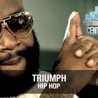 Picture for song 'Triumph' by artist 'Instrumental Central'