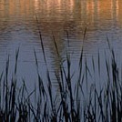 Picture for song 'Paradise' by artist 'Jalal Ali'