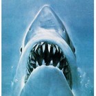 Picture for song 'White Shark' by artist 'Jandokan'