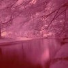 Picture for song 'Ice Age (Re-Mix)' by artist 'Jason Allen'