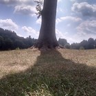 Picture for song 'Wishing on the Moonlight' by artist 'Jason Gianfriddo'