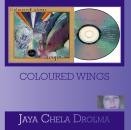 Picture for song 'Earth Angel' by artist 'Jaya Khoobsurat'
