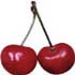 Picture for song 'Cherry Slide' by artist 'Jay Seeley'