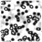 Picture for song 'R4_UnhealthyClimate' by artist 'Jeff25'