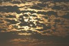 Picture for song 'Planet x is coming (night mix)' by artist 'JELLY HEAD'