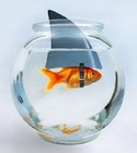 Picture for song 'Imposter' by artist 'jemima's kite'