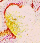 Picture for song 'Badge of Honour - www.jensong.com.au' by artist 'Jeni Wallwork'