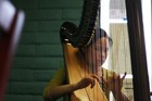 Picture for song 'A Lovely Strumming of the Harp' by artist 'Jeremy David Hiebert'