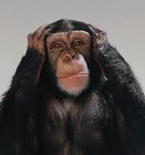 Picture for song 'Conditioned Towards Deafness' by artist 'JimRoss'