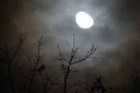 Picture for song 'Midnight Bars STMB 53' by artist 'Jinesis'
