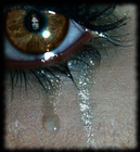 Picture for song 'with or without' by artist 'J Money Beat'