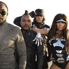 Picture for song 'J Nauti - Bass Line | (Free DL!)' by artist 'J NAUTI'