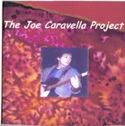 Picture for song 'Plastic Heart' by artist 'Joe Caravella Project'