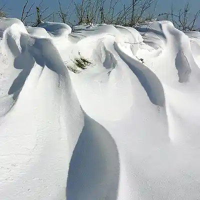 Picture for song 'Snowdrift' by artist 'Johanna Renfro'