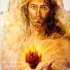 Picture for song 'Holy Wounds' by artist 'Johan Van Den Bossche'